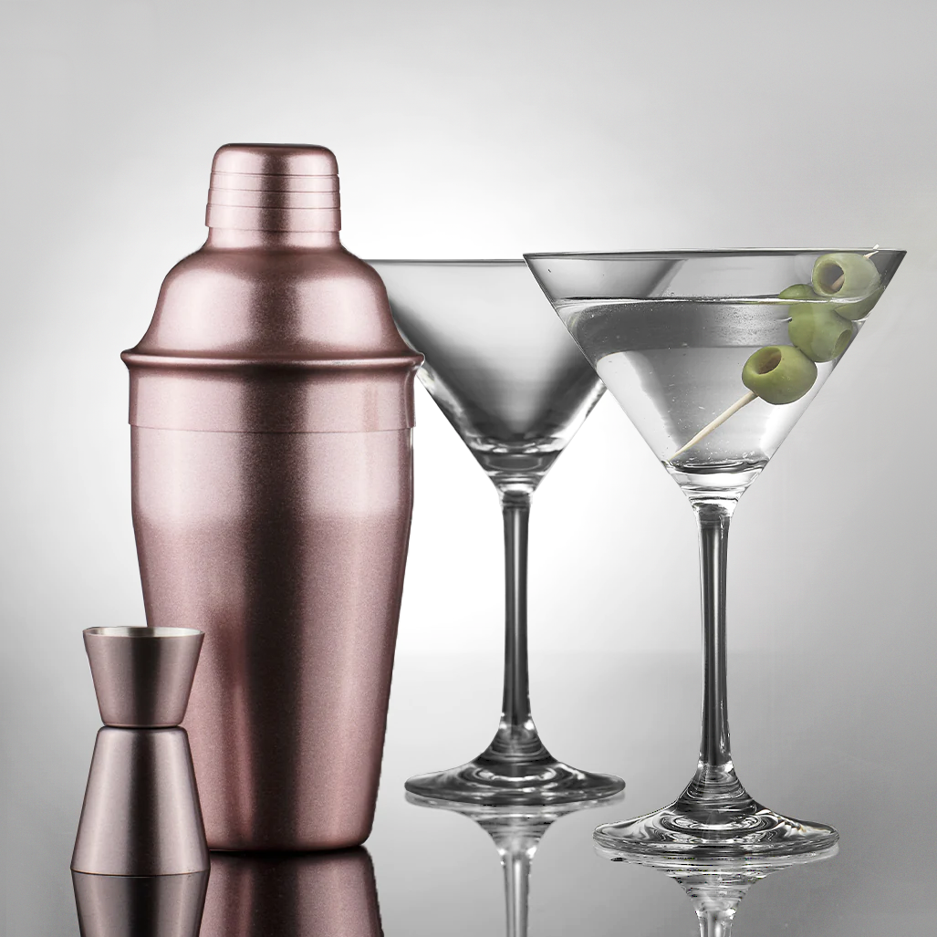 Tempa Aurora Cocktail Shaker and Martini Glass Gift Set - Blush