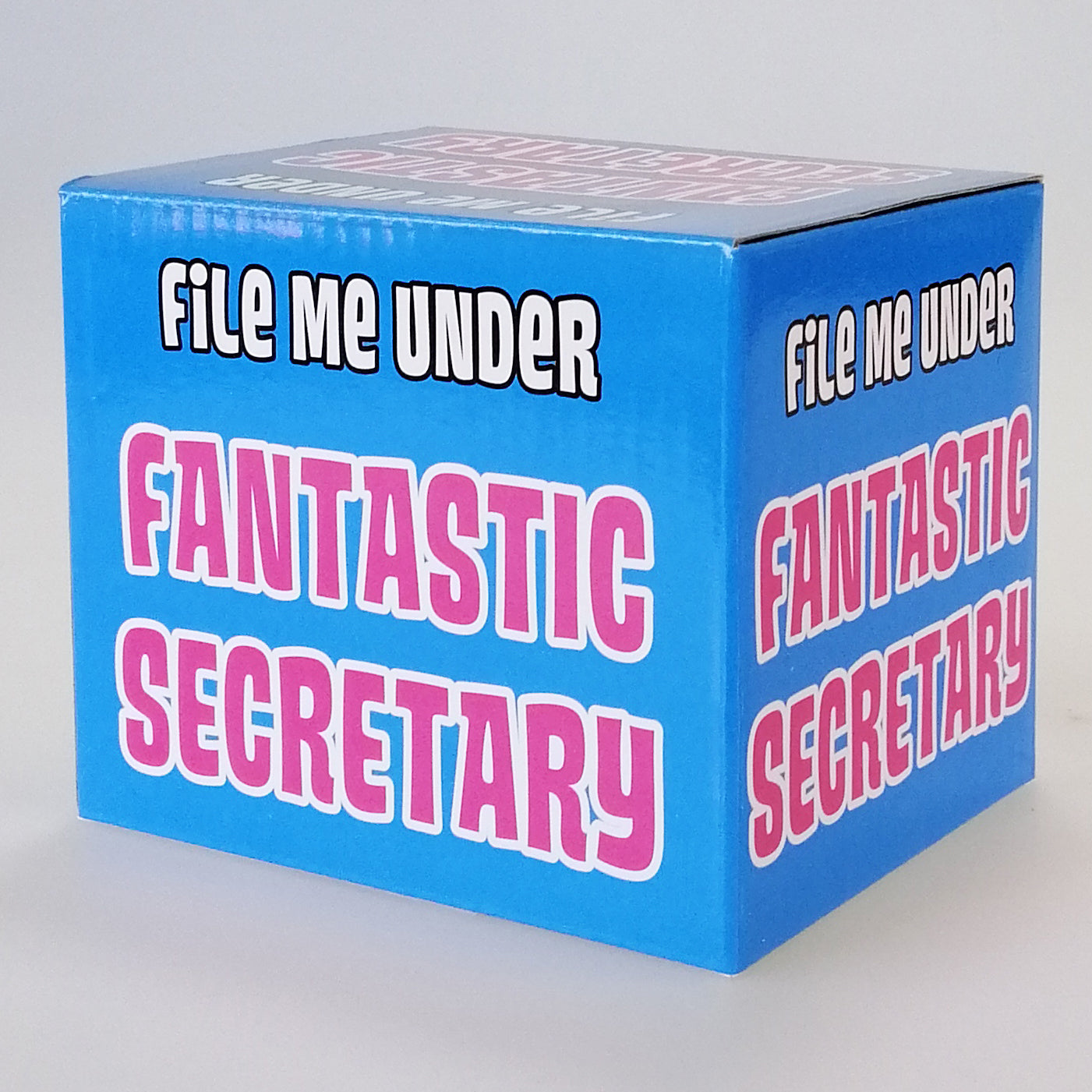 Boxed Mug - 'File Me Under Fantastic Secretary'