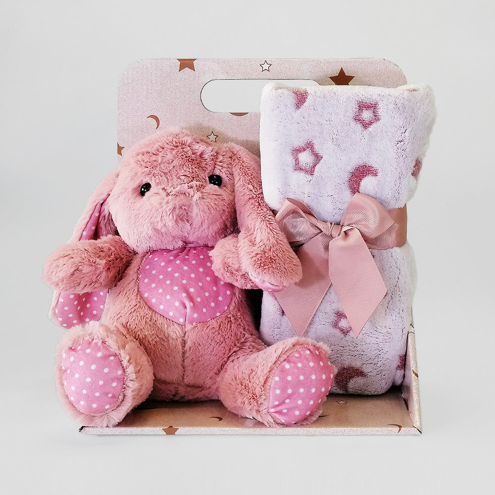 Pink Teddy Bear With Blanket