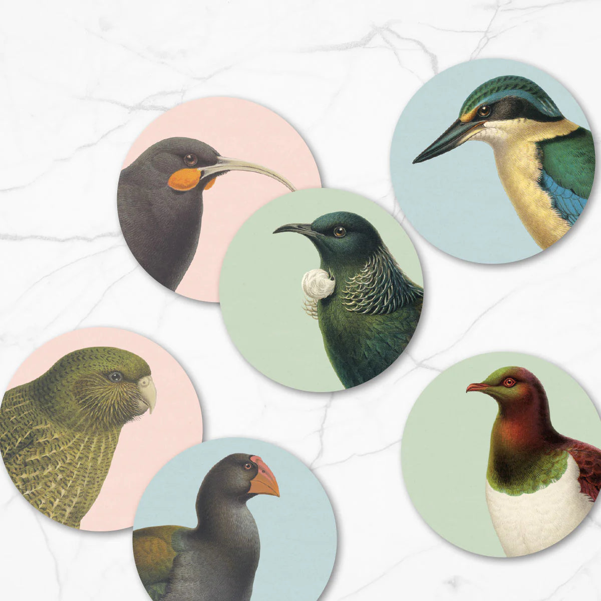 Native Birds Placemat Set