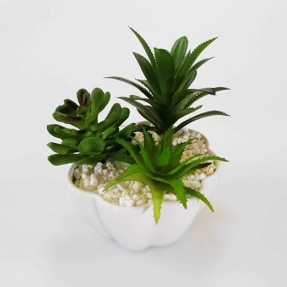 Artificial Garden - 'Scallops'