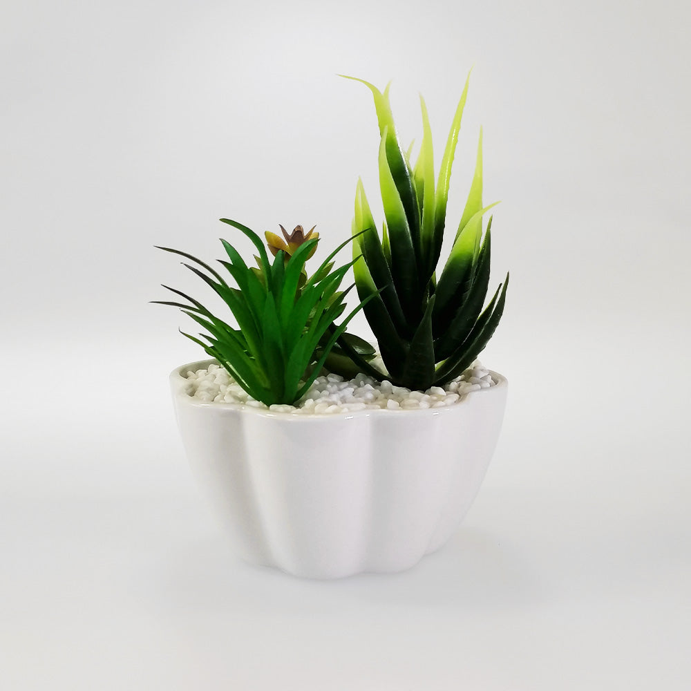 Artificial Garden - 'Scallops'
