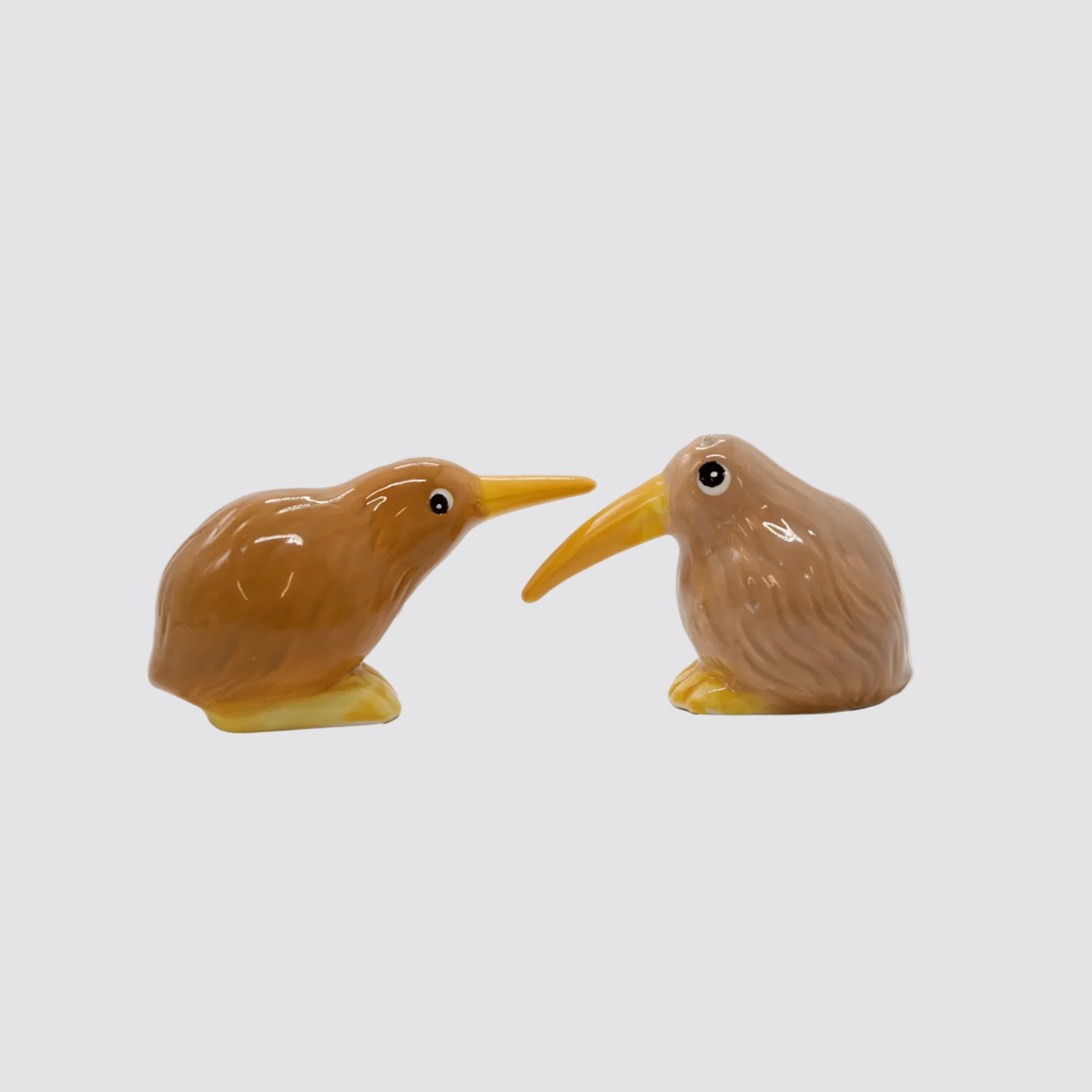 Salt & Pepper Shaker Set - 'Kiwis'