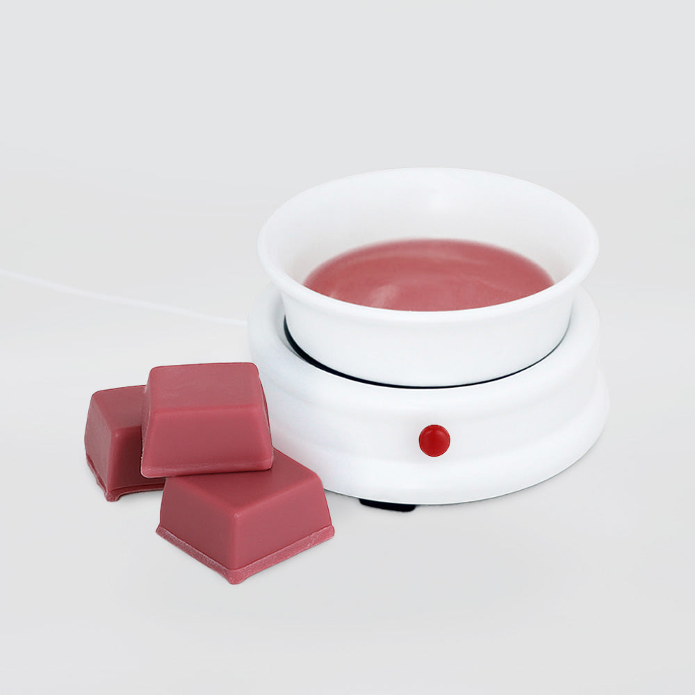 Electric Wax Melter
