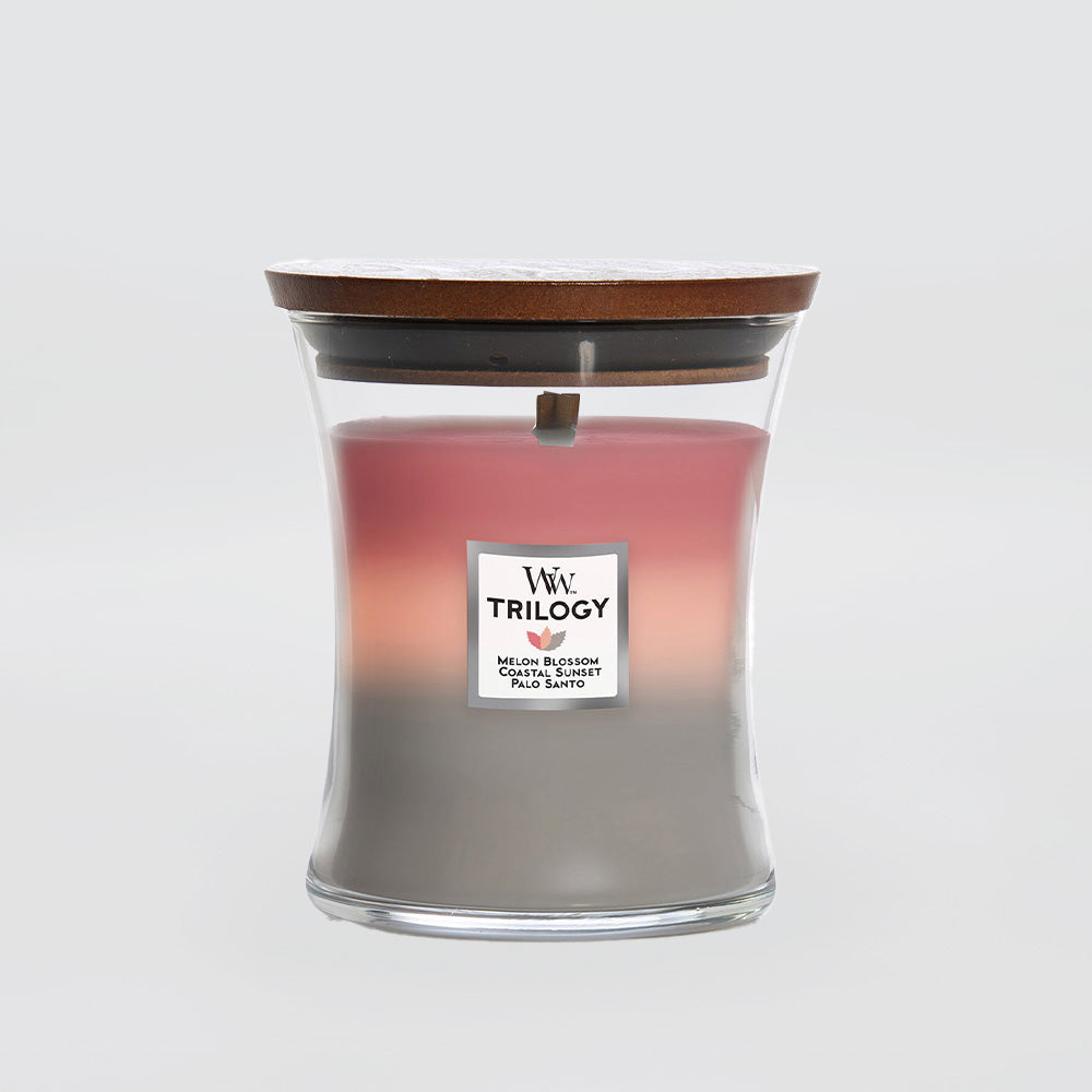 Woodwick - Shoreline Triolgy