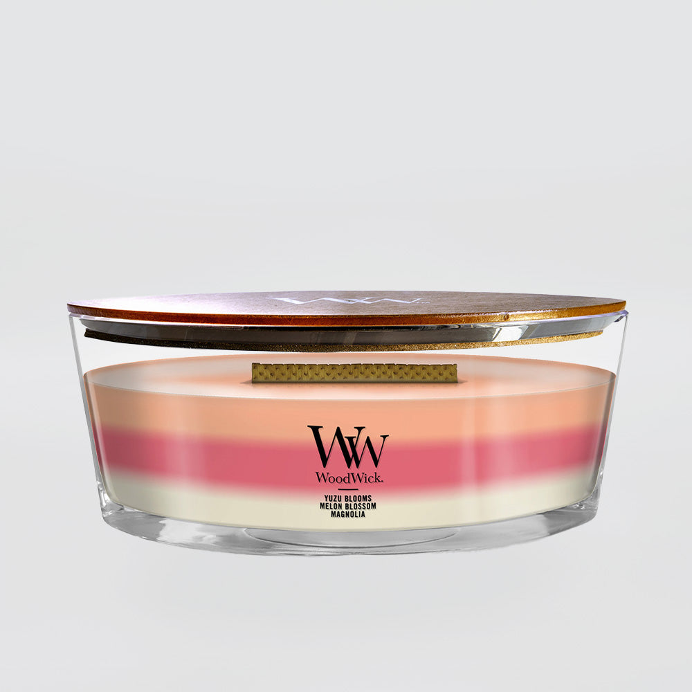 Woodwick - Blooming Orchard Trilogy