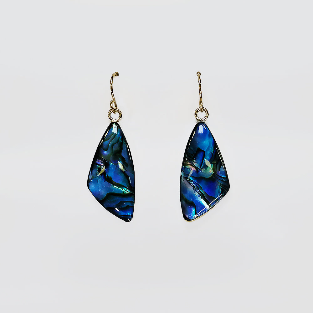 Paua Earrings - 'Carved'
