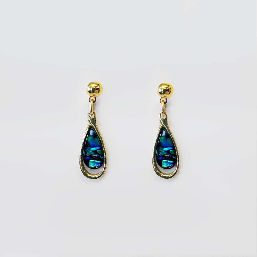 Paua Earrings - 'Rounded'