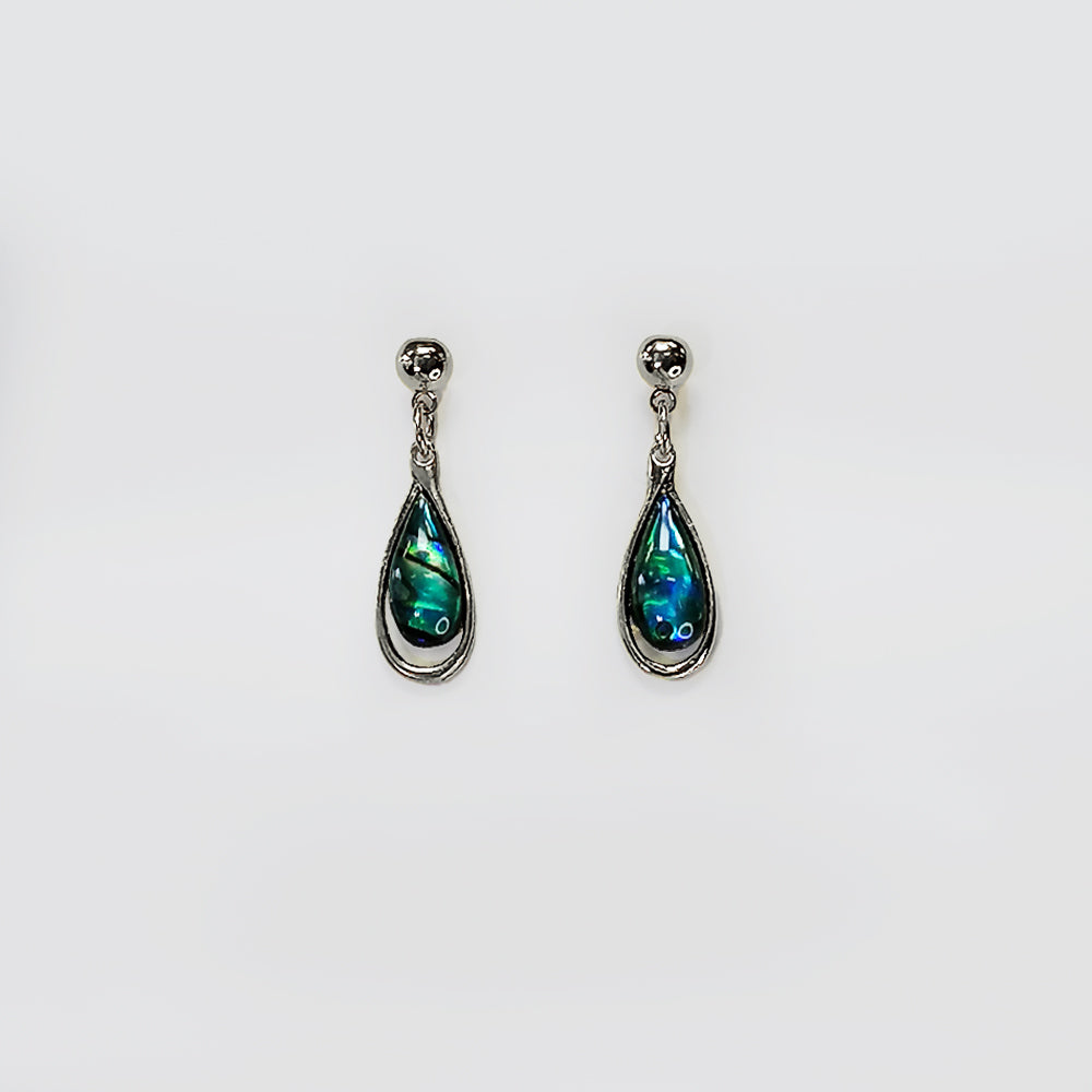 Paua Earrings - 'Rounded'