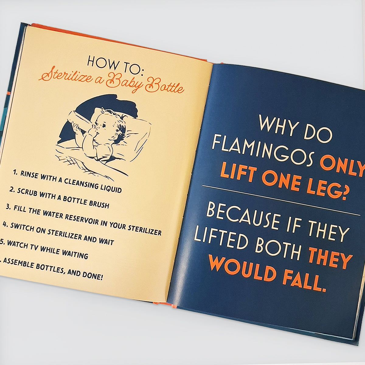 Fun Book - Grow Up, You're A Dad!