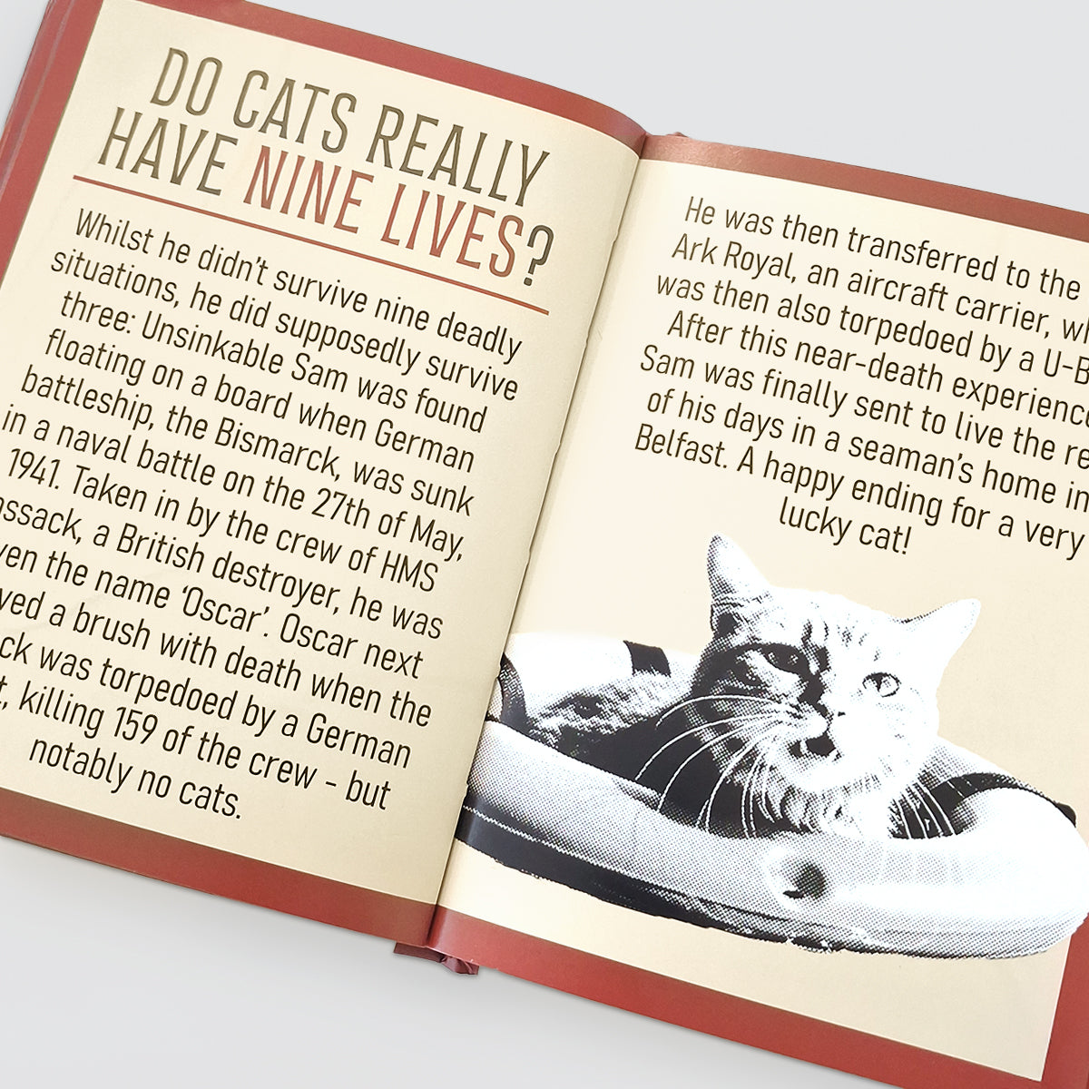 Fun Book - Curious Mans Thoughts
