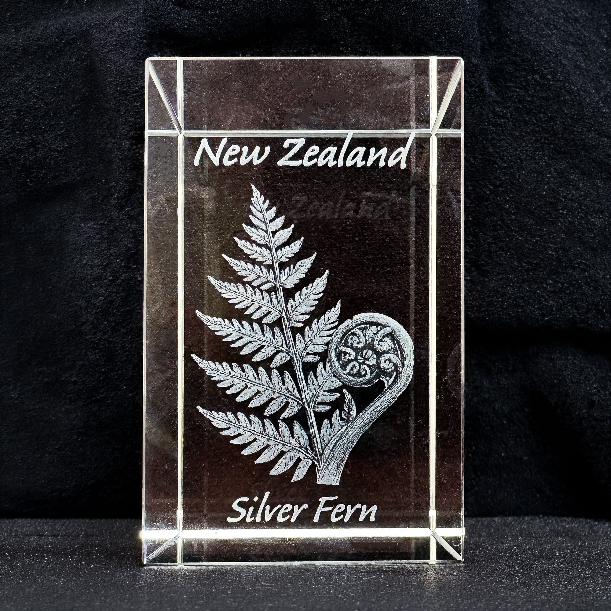 Crystal Paperweight - Silver Fern