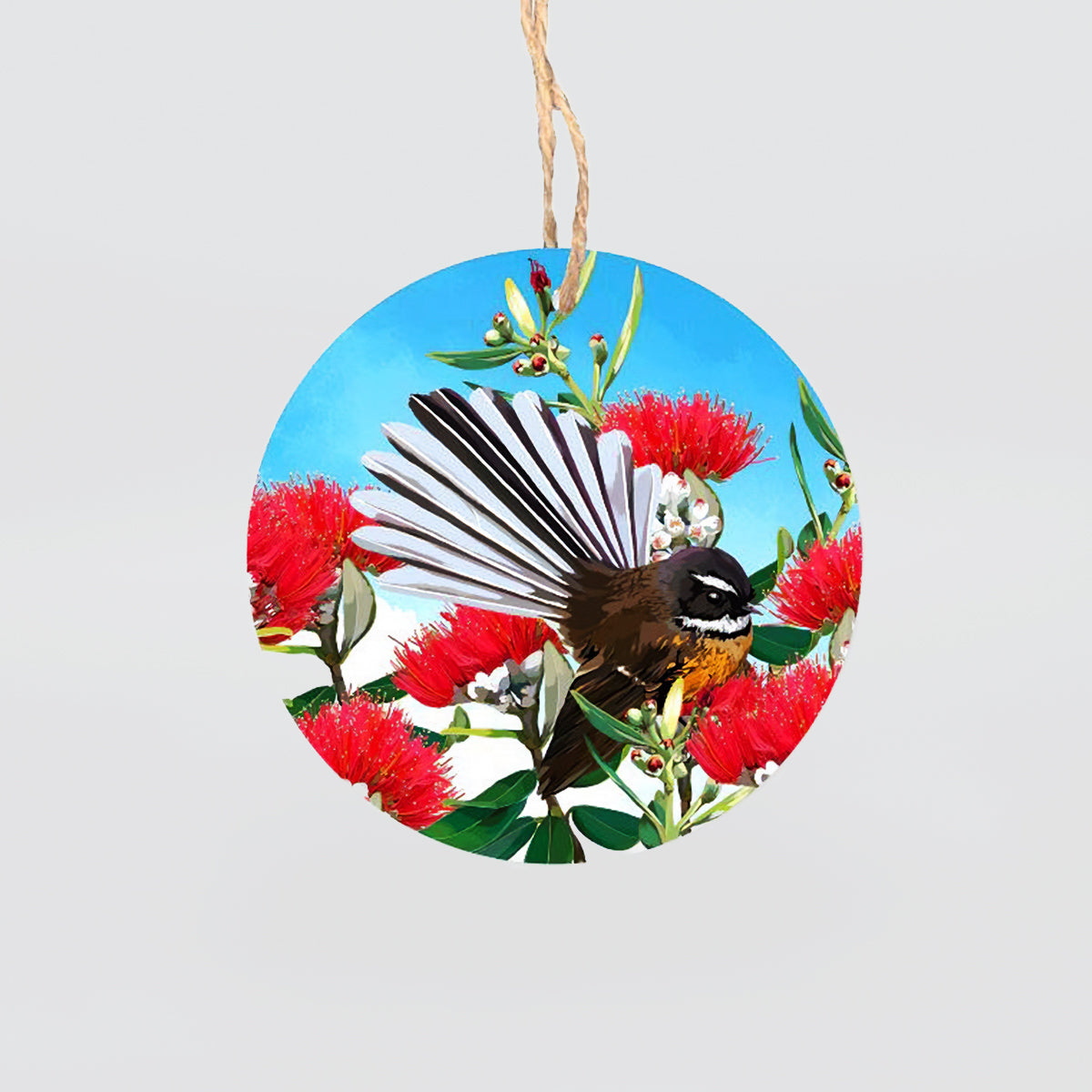 Glass Hanging Circles - NZ Birds