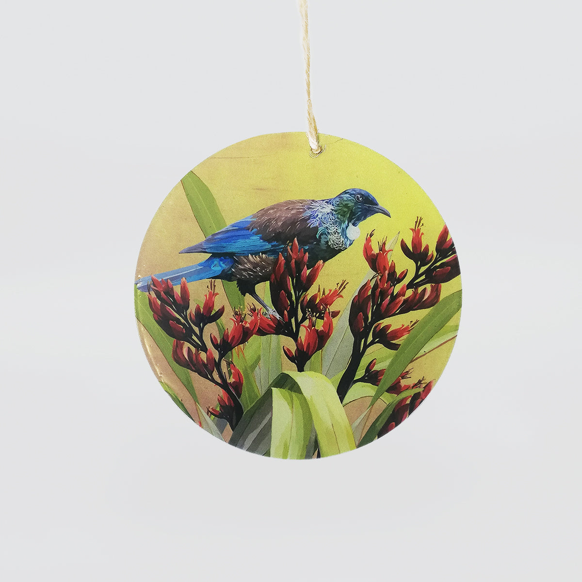 Glass Hanging Circles - NZ Birds