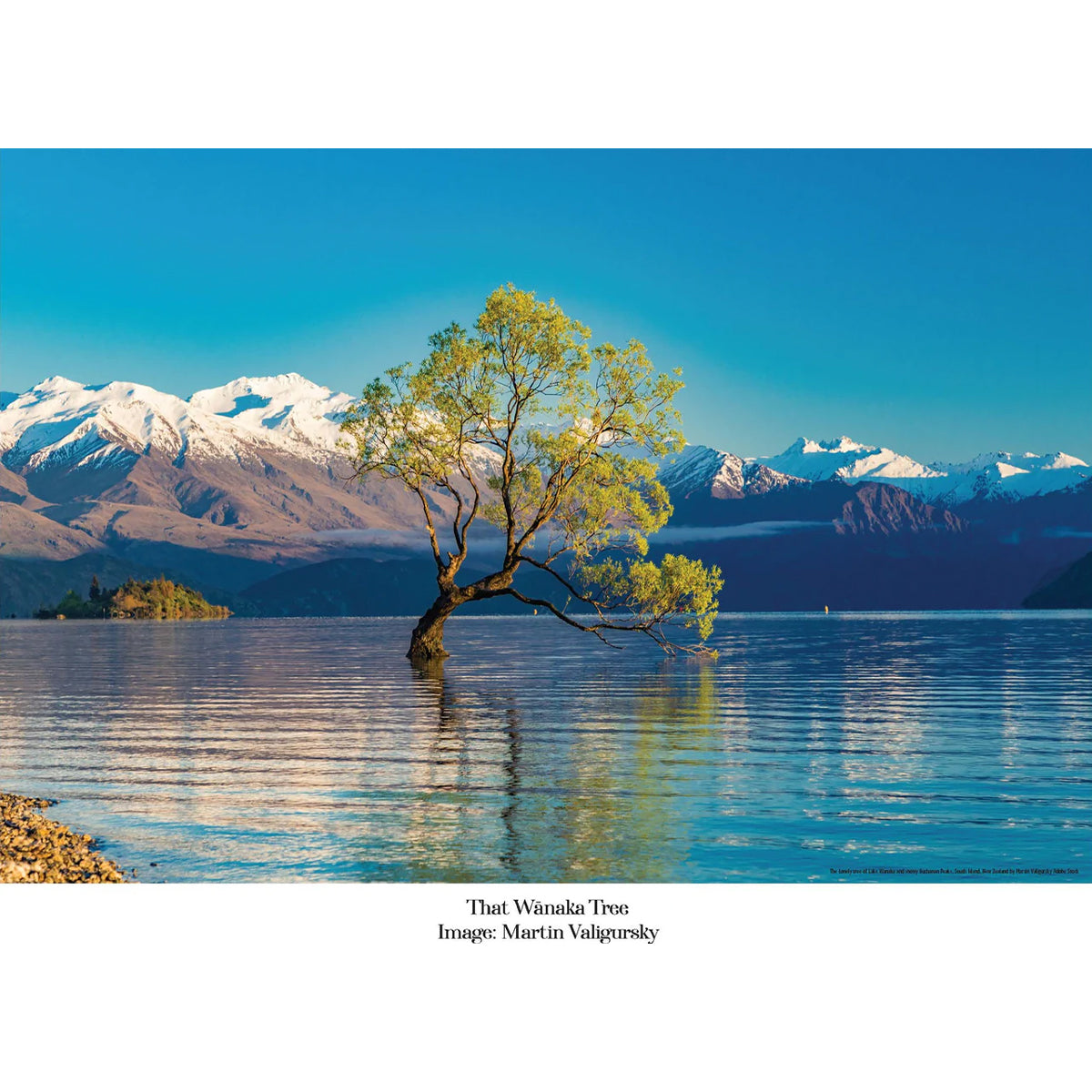 100 Piece Jigsaw - 'Wanaka Tree'