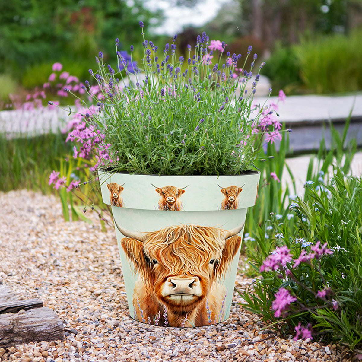 Zest Planter Pots - Highland Cow