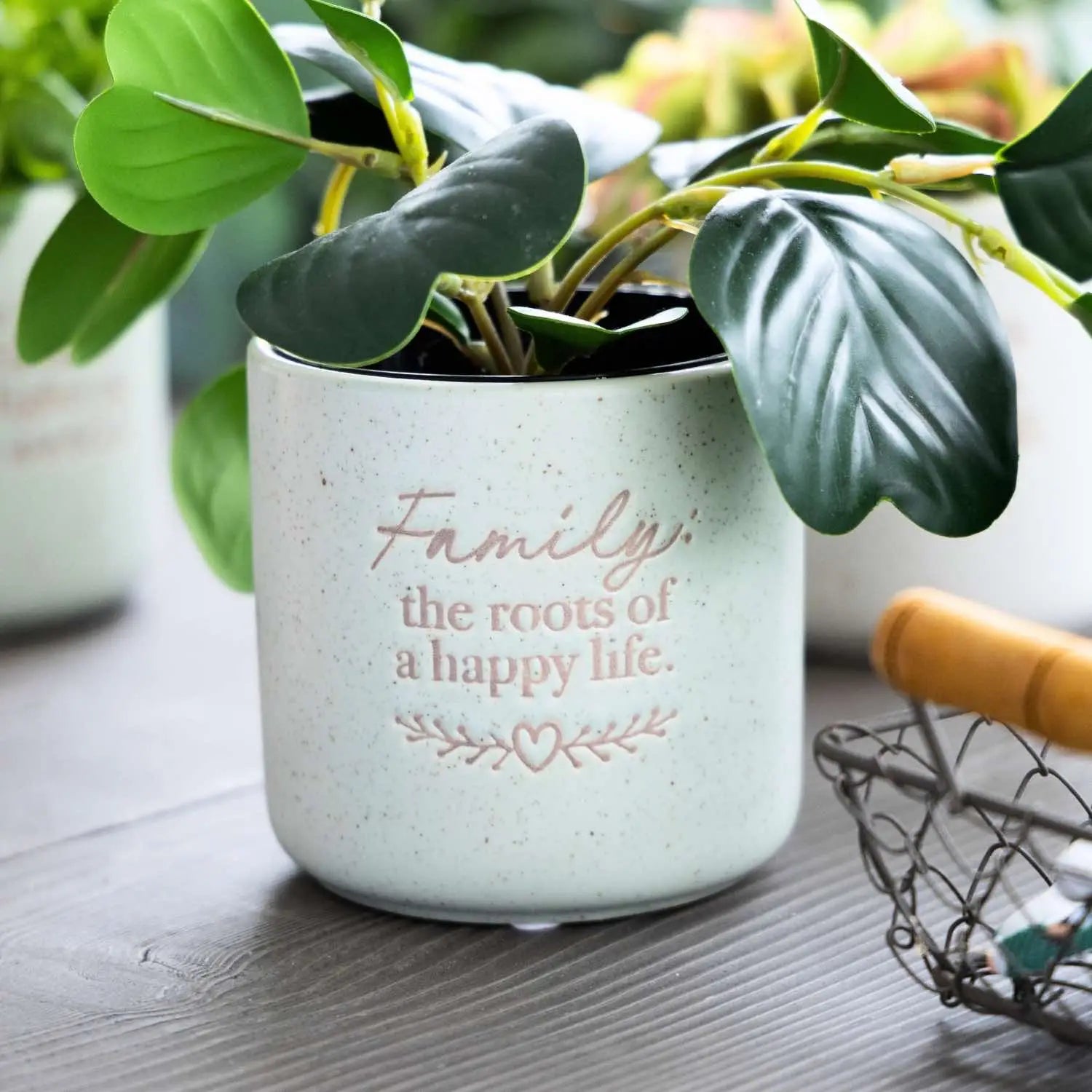 Positive Pot - Family