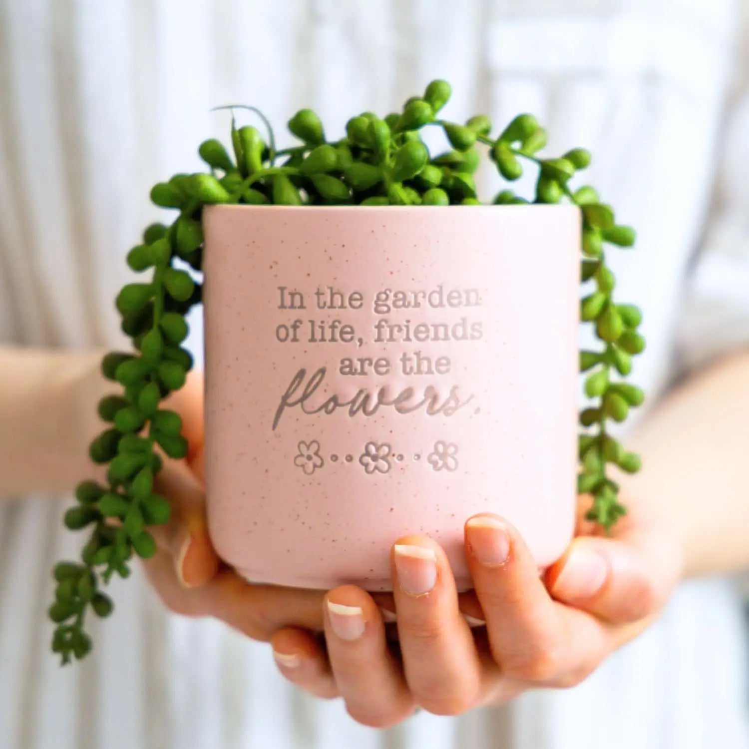 Positive Pot - Friends