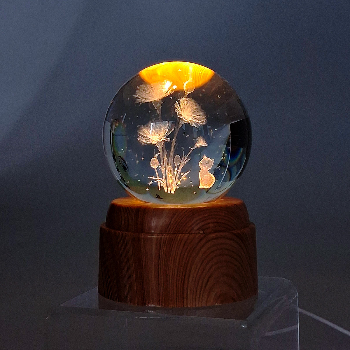 Rotating LED Glass Orb - Cat & Plants