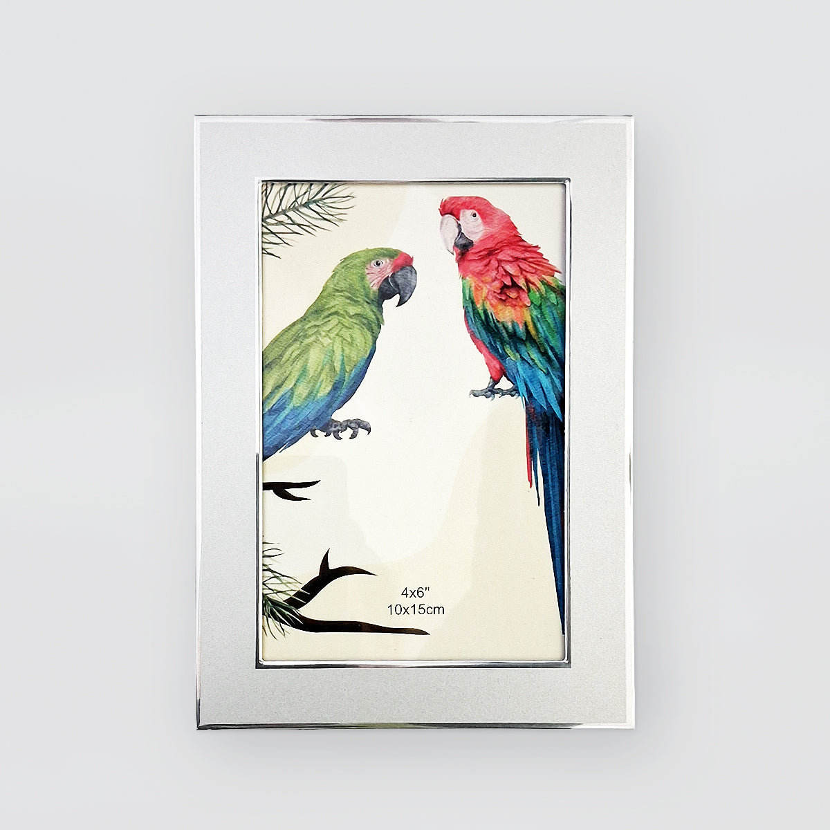 Brushed Metal Frames