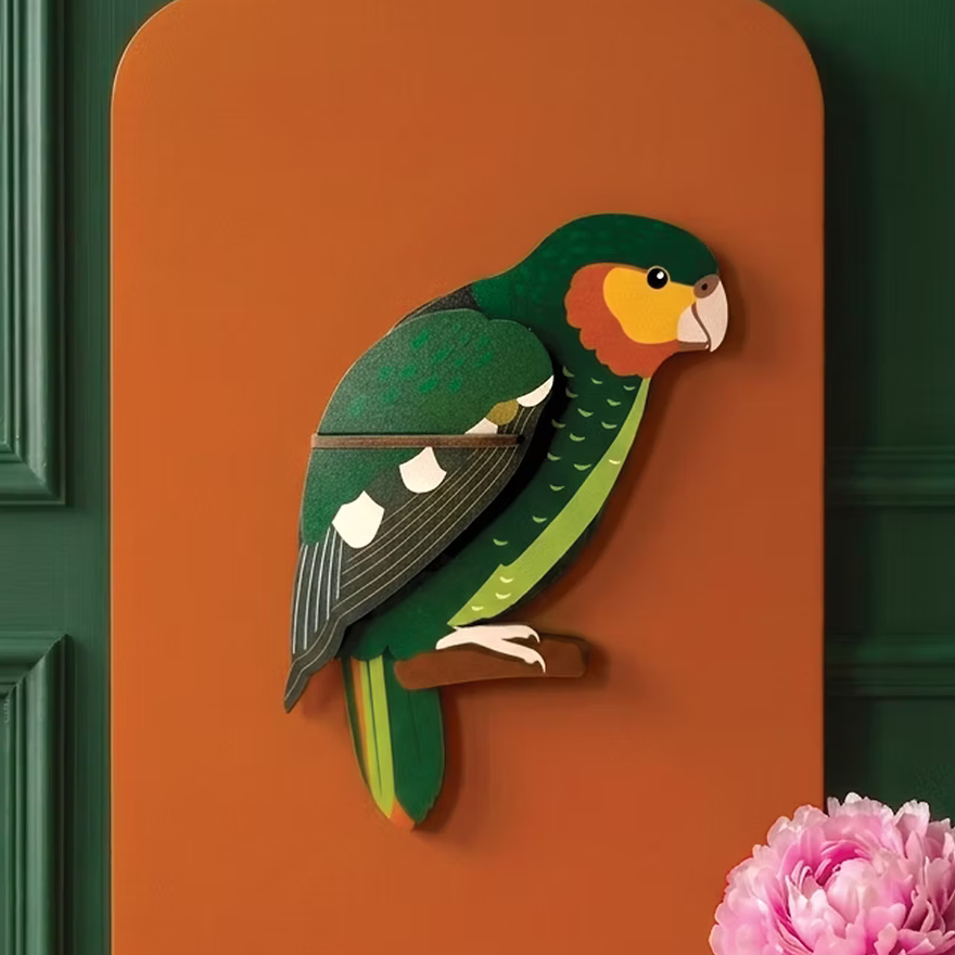 Wooden Wall Art - Kakapo