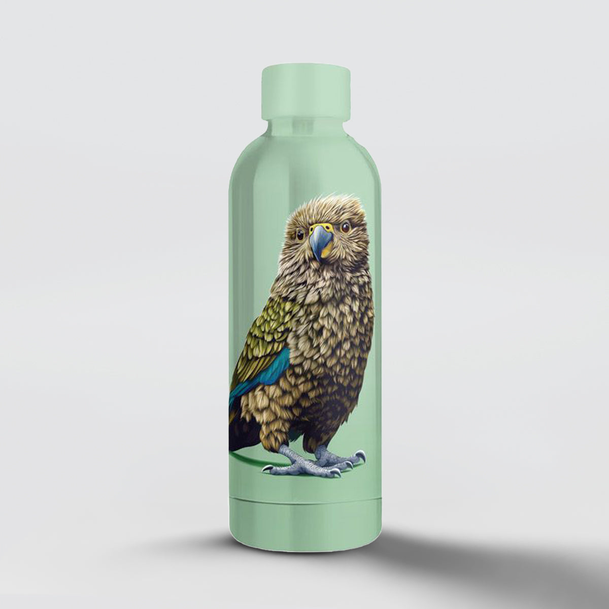 Insulated Metal Drink Bottle - Green Kea