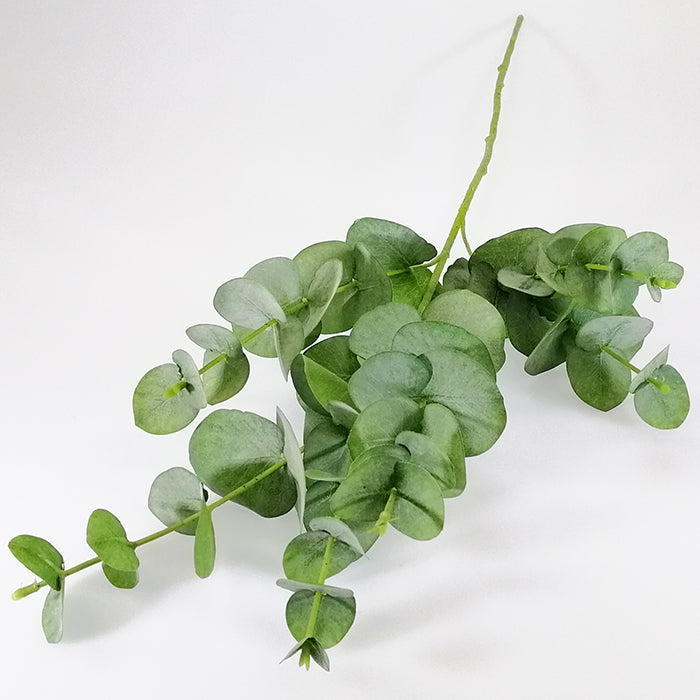Gum Leaf Stem - 84cm