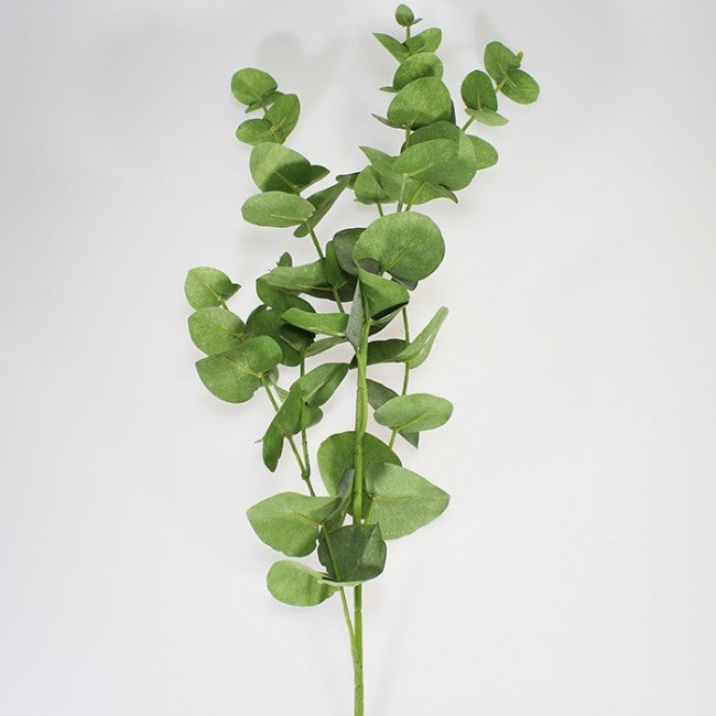 Gum Leaf Stem - 84cm