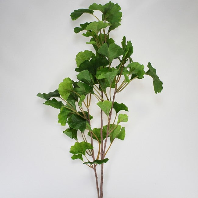 Ginko Leaf Stem - 81cm