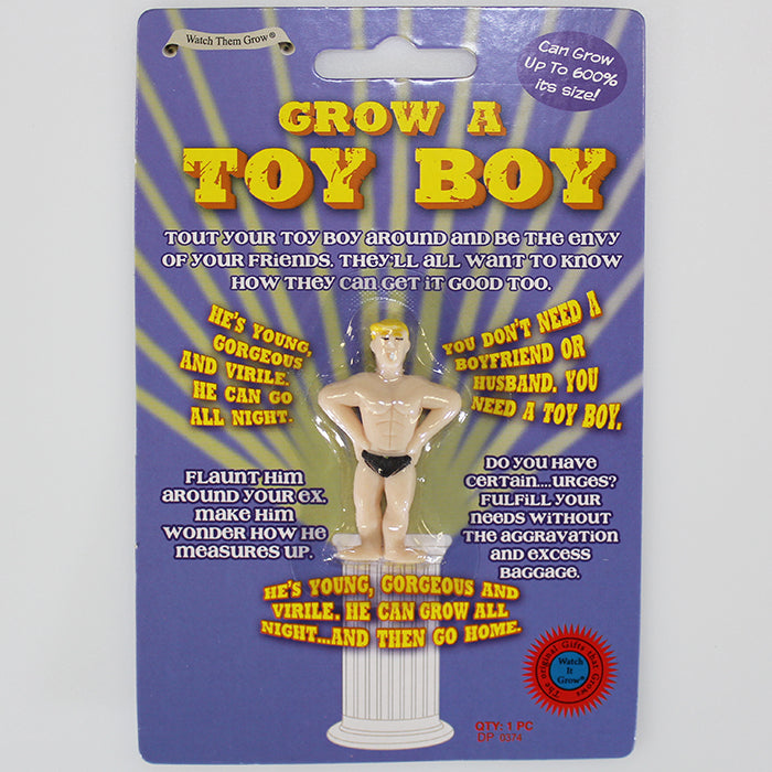 Grow a Toy Boy