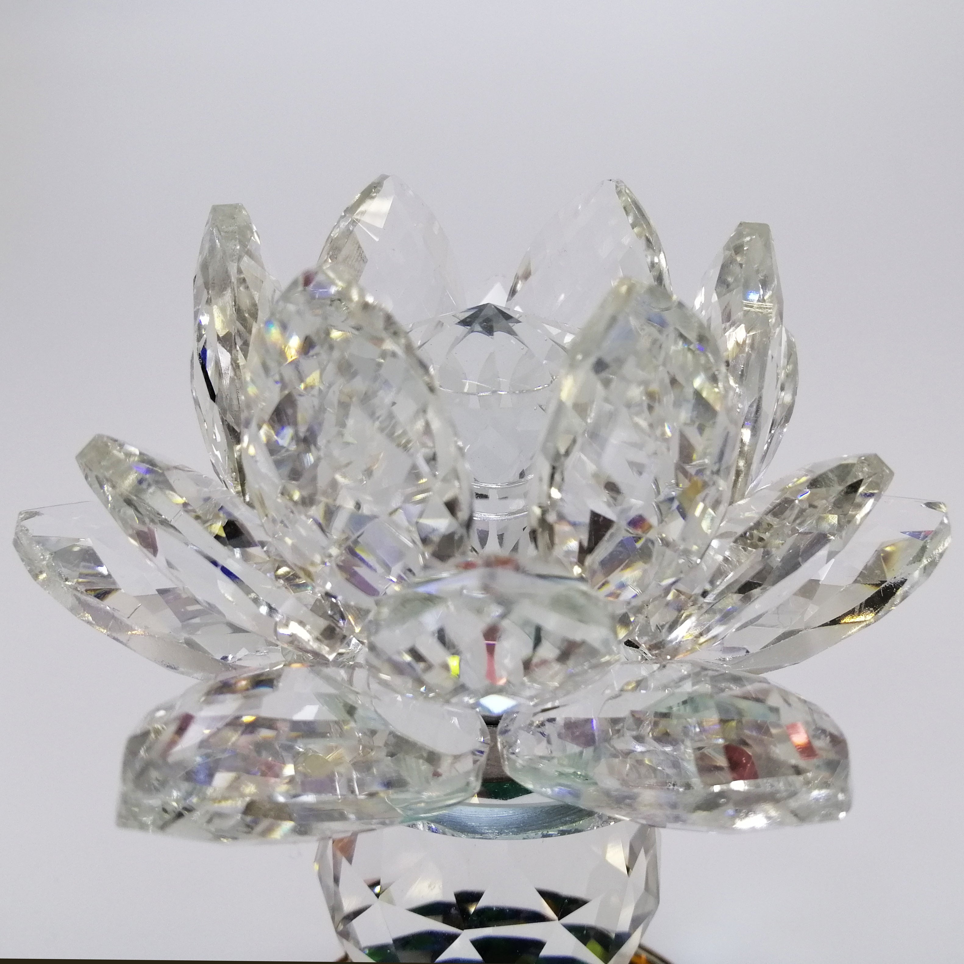 Clear Lotus with Colourful Base
