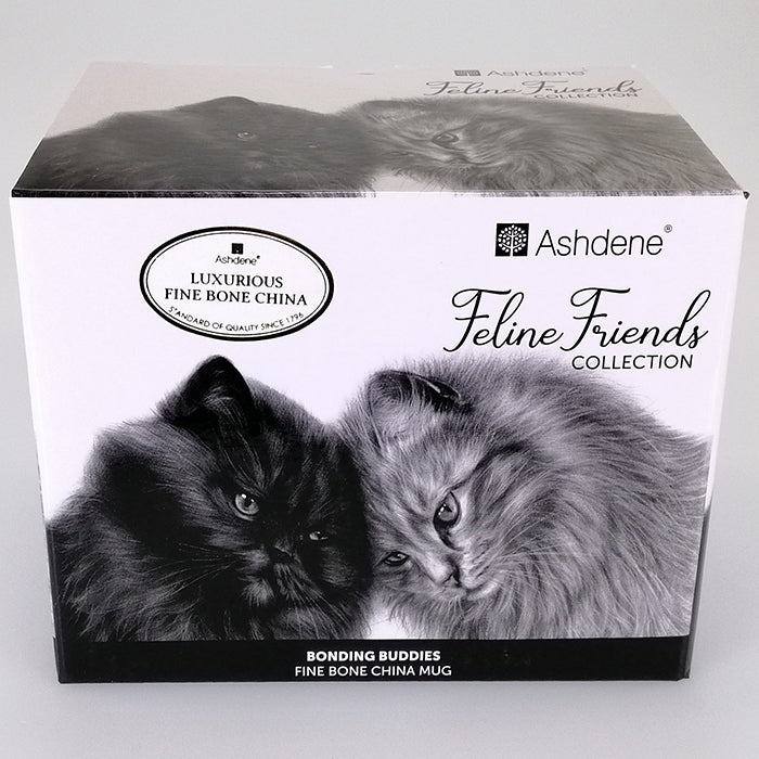 Feline Friends - Bonding Buddies - Boxed Mug