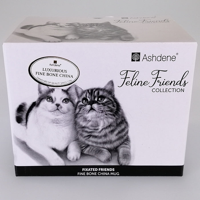 Feline Friends - Fixated Friends - Boxed Mug