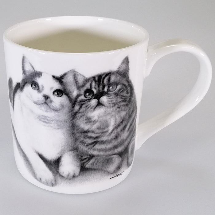 Feline Friends - Fixated Friends - Boxed Mug