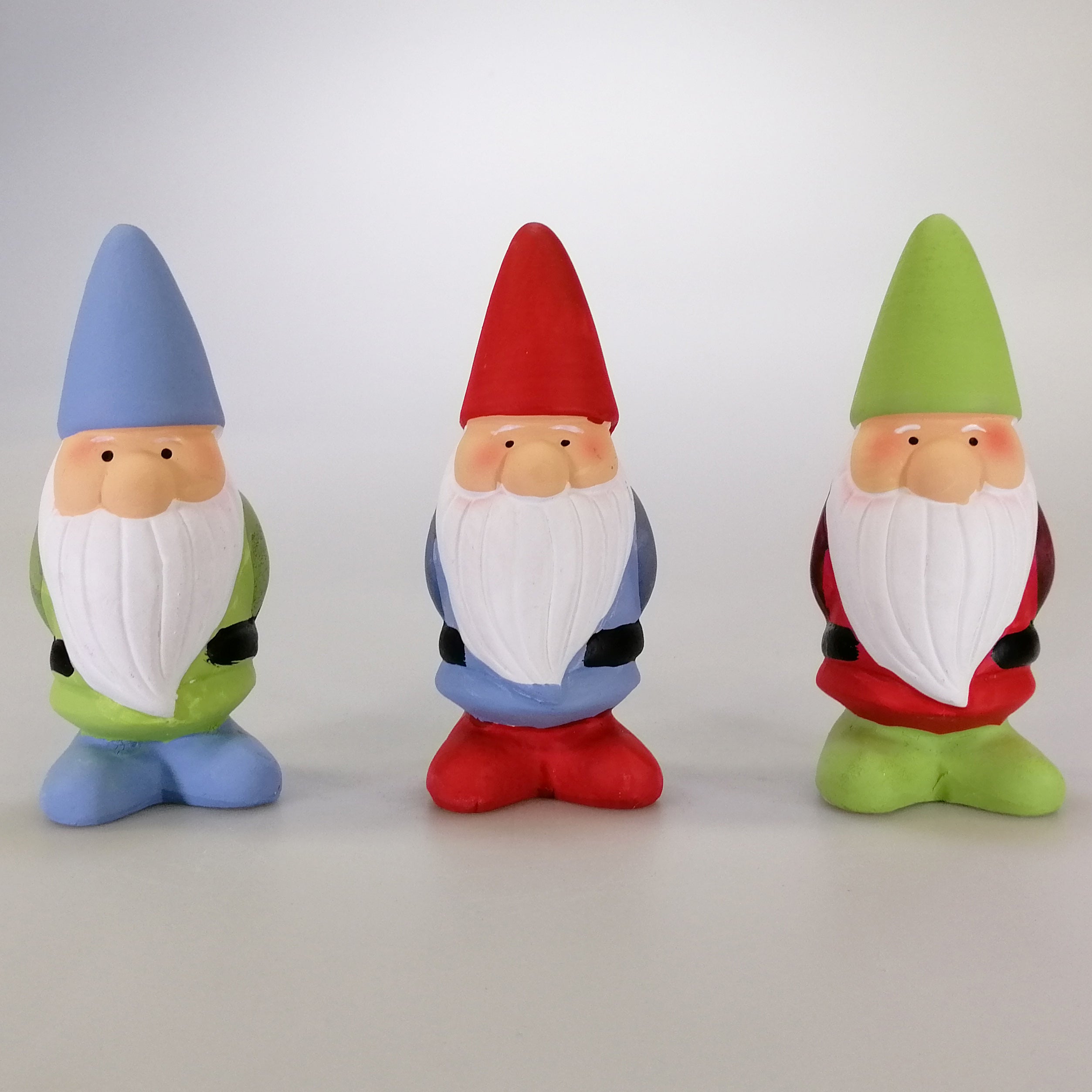 Assorted Weather Forecasting Gnome