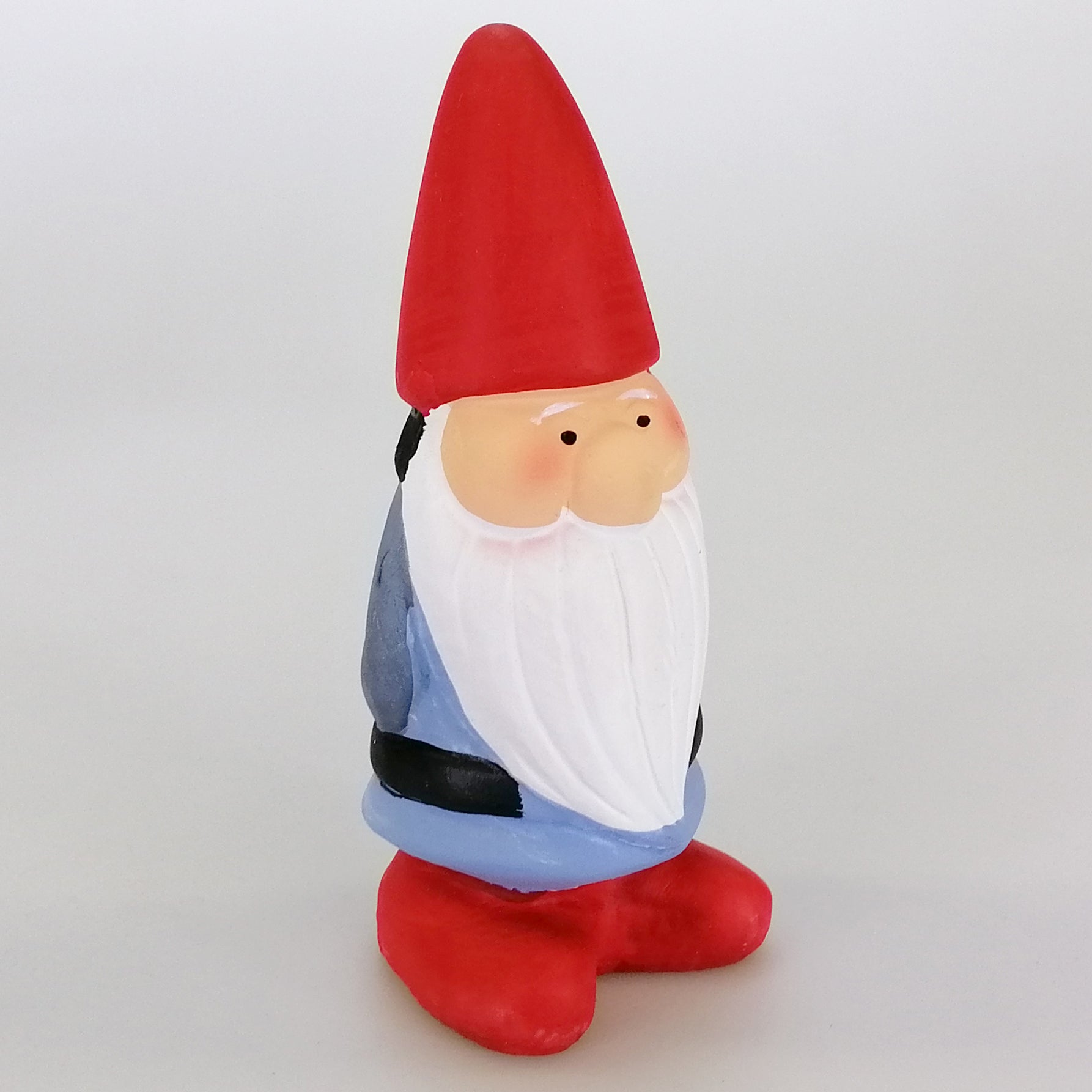 Assorted Weather Forecasting Gnome