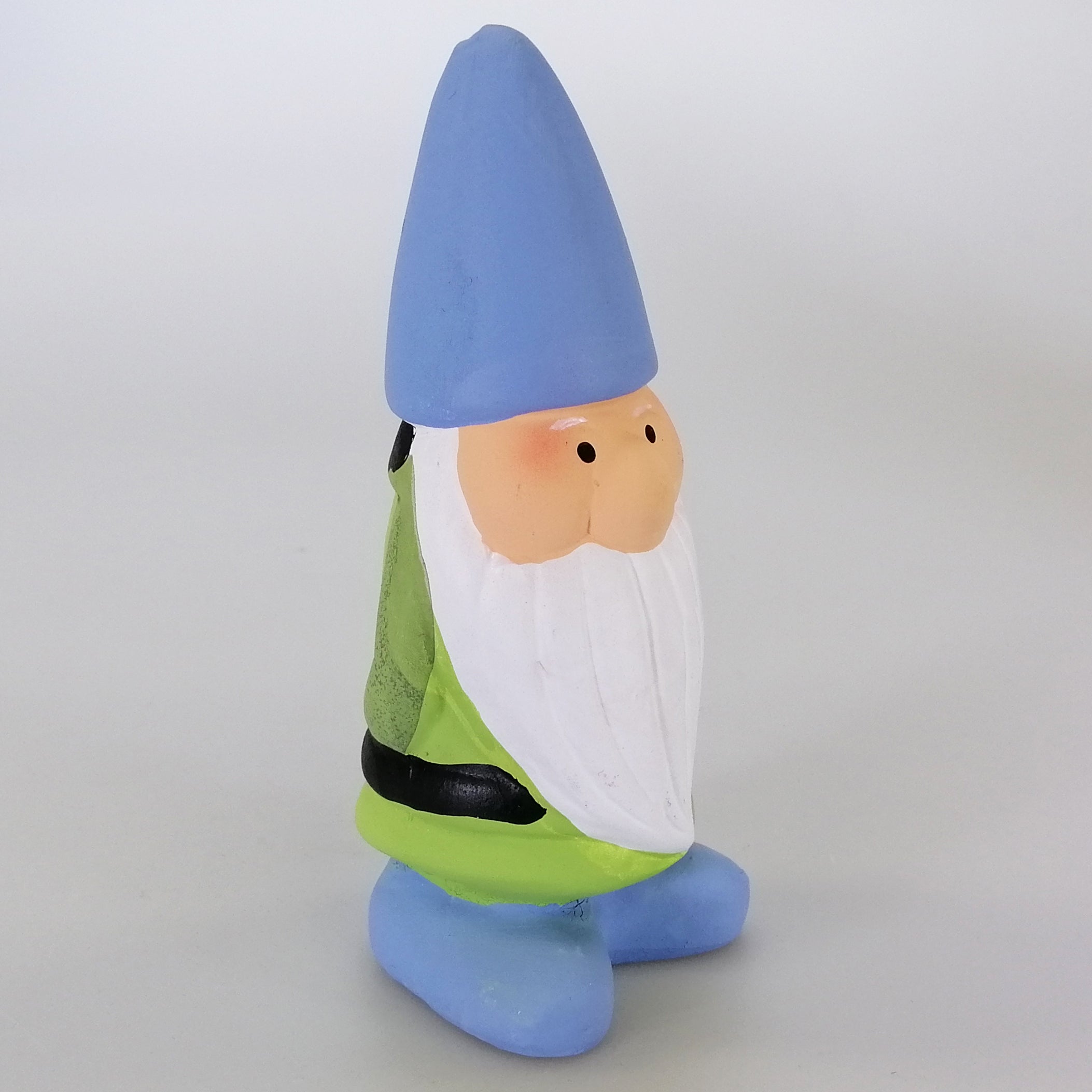 Assorted Weather Forecasting Gnome