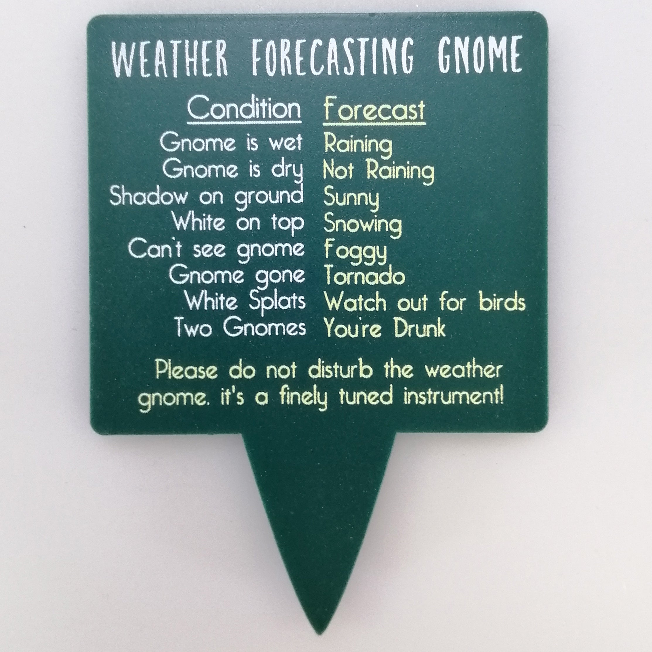 Assorted Weather Forecasting Gnome