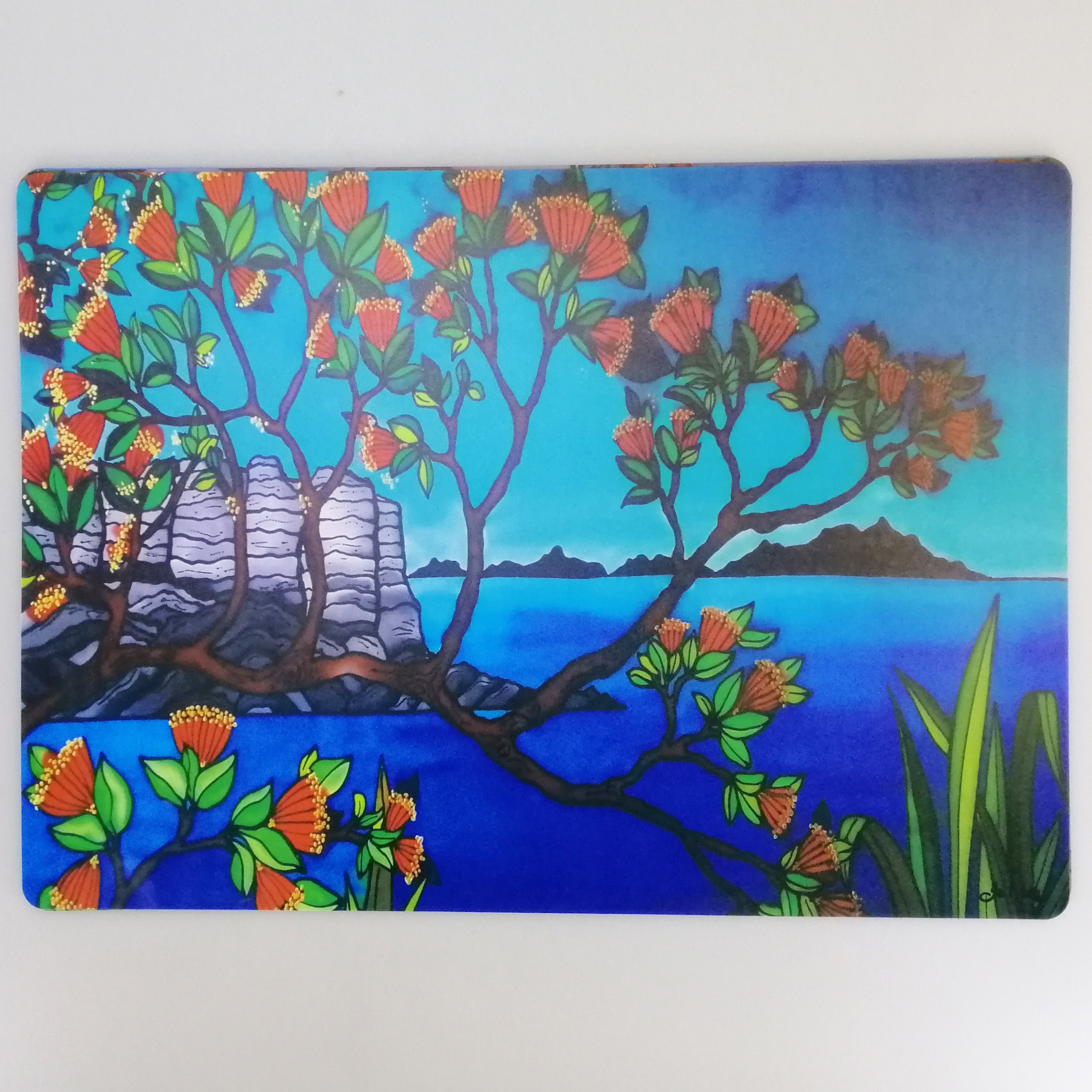 Plastic Placemats - NZ Scenes - Set of 4