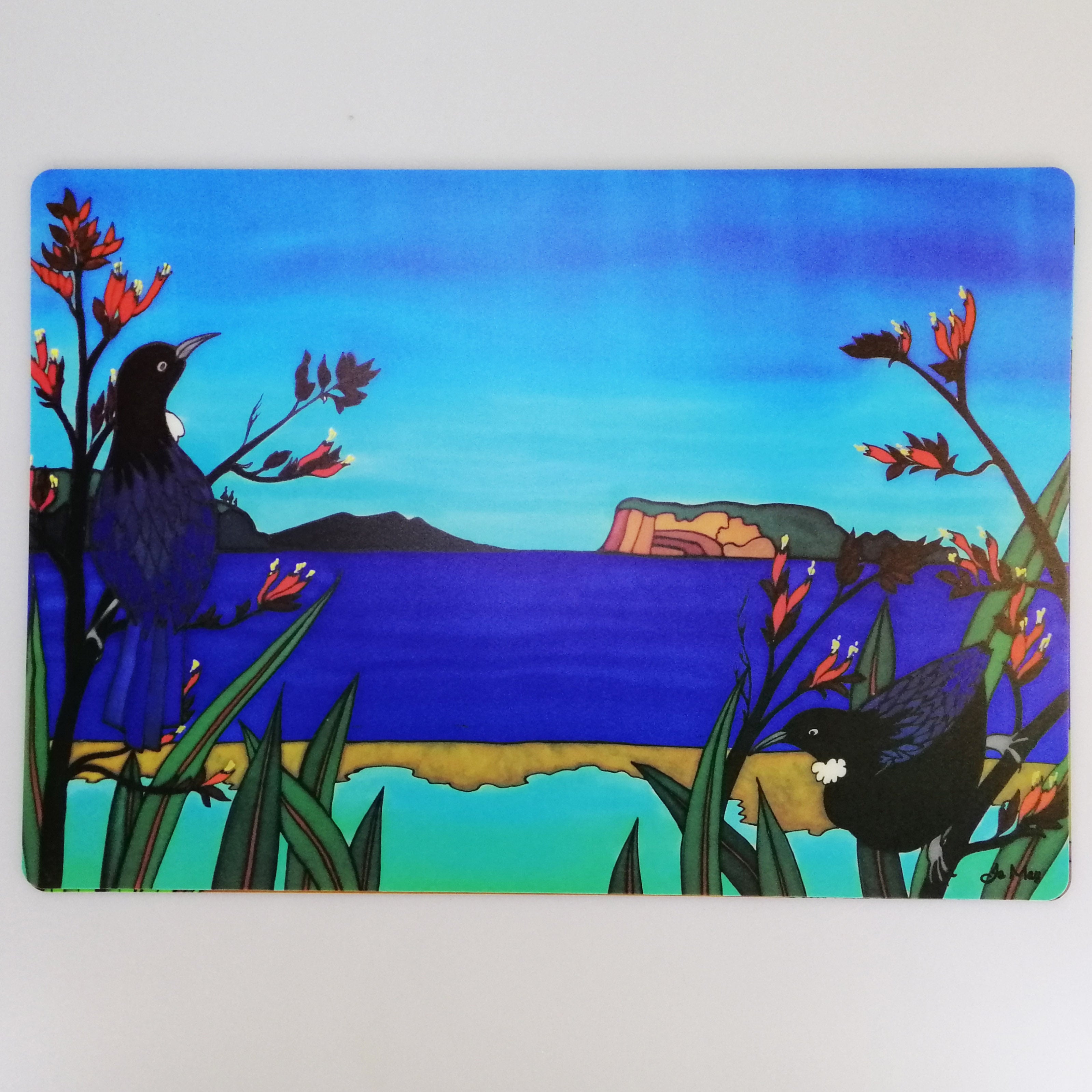 Plastic Placemats - NZ Scenes - Set of 4