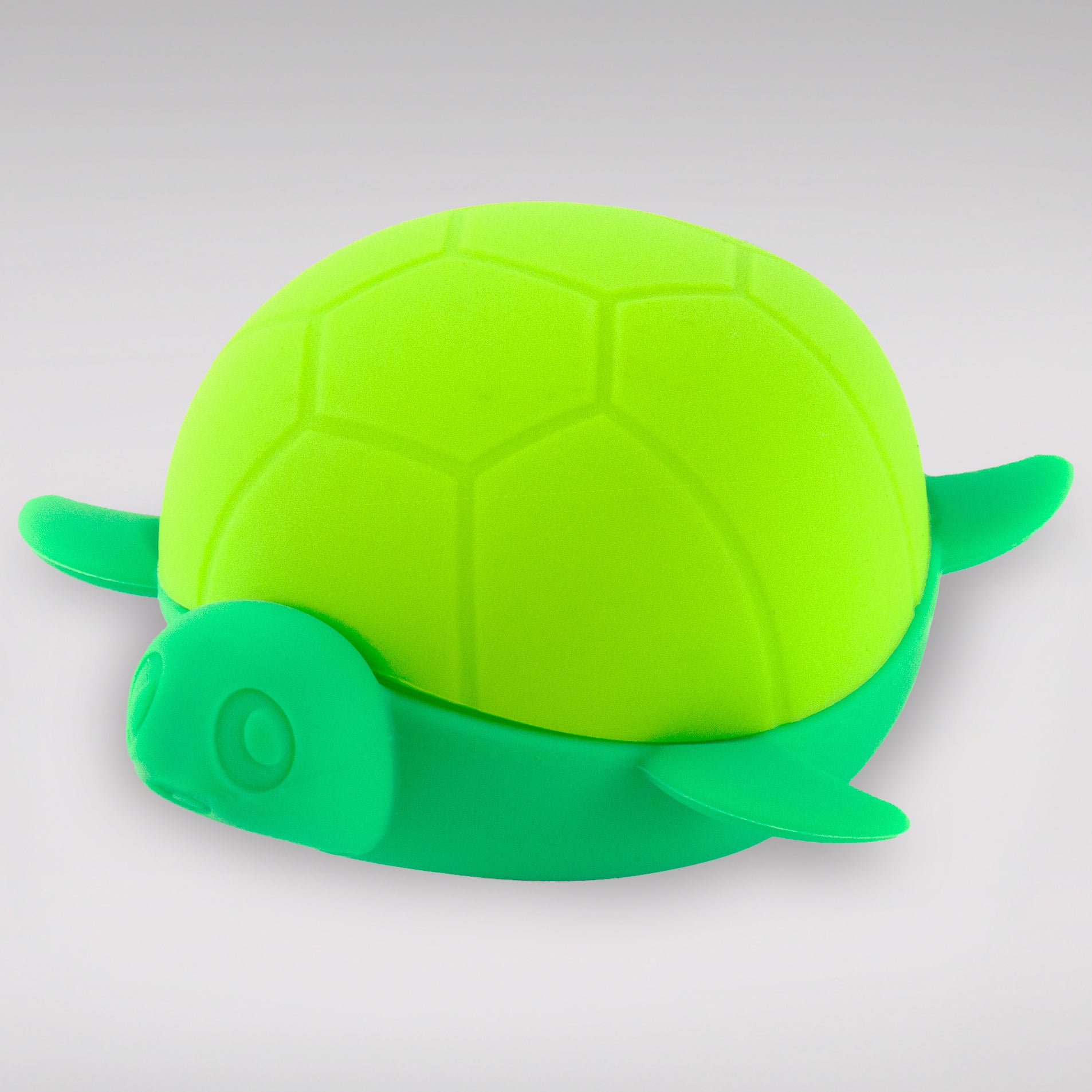 Turtle Egg Poacher