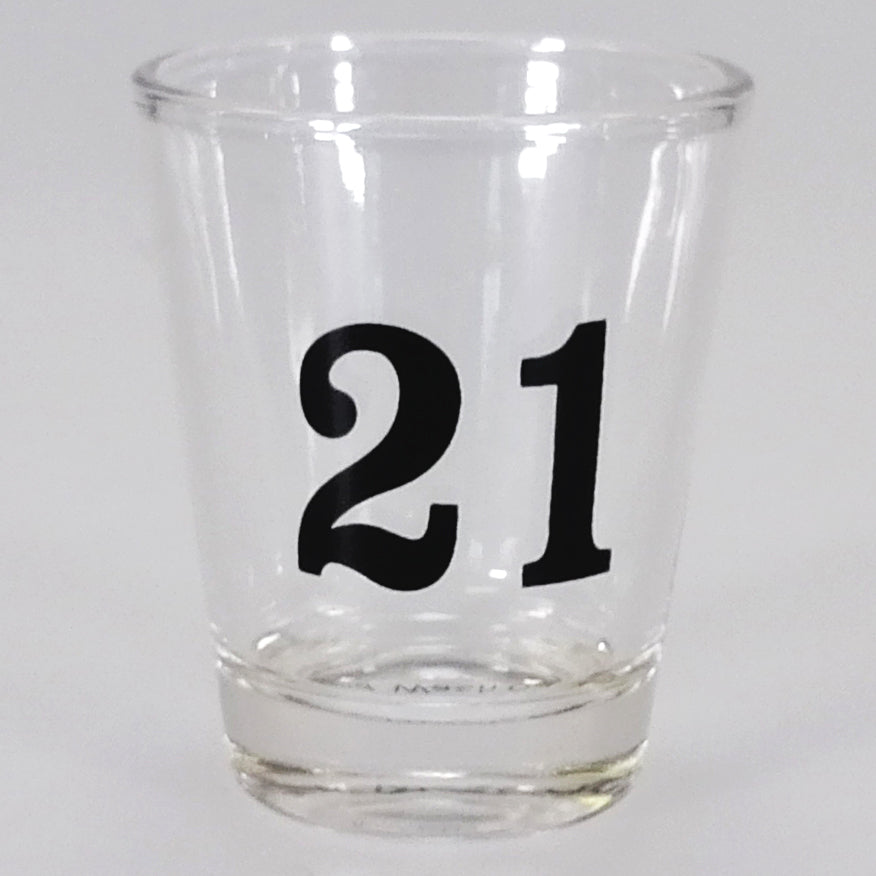 21st Birthday Shot & Stein Boxed Set