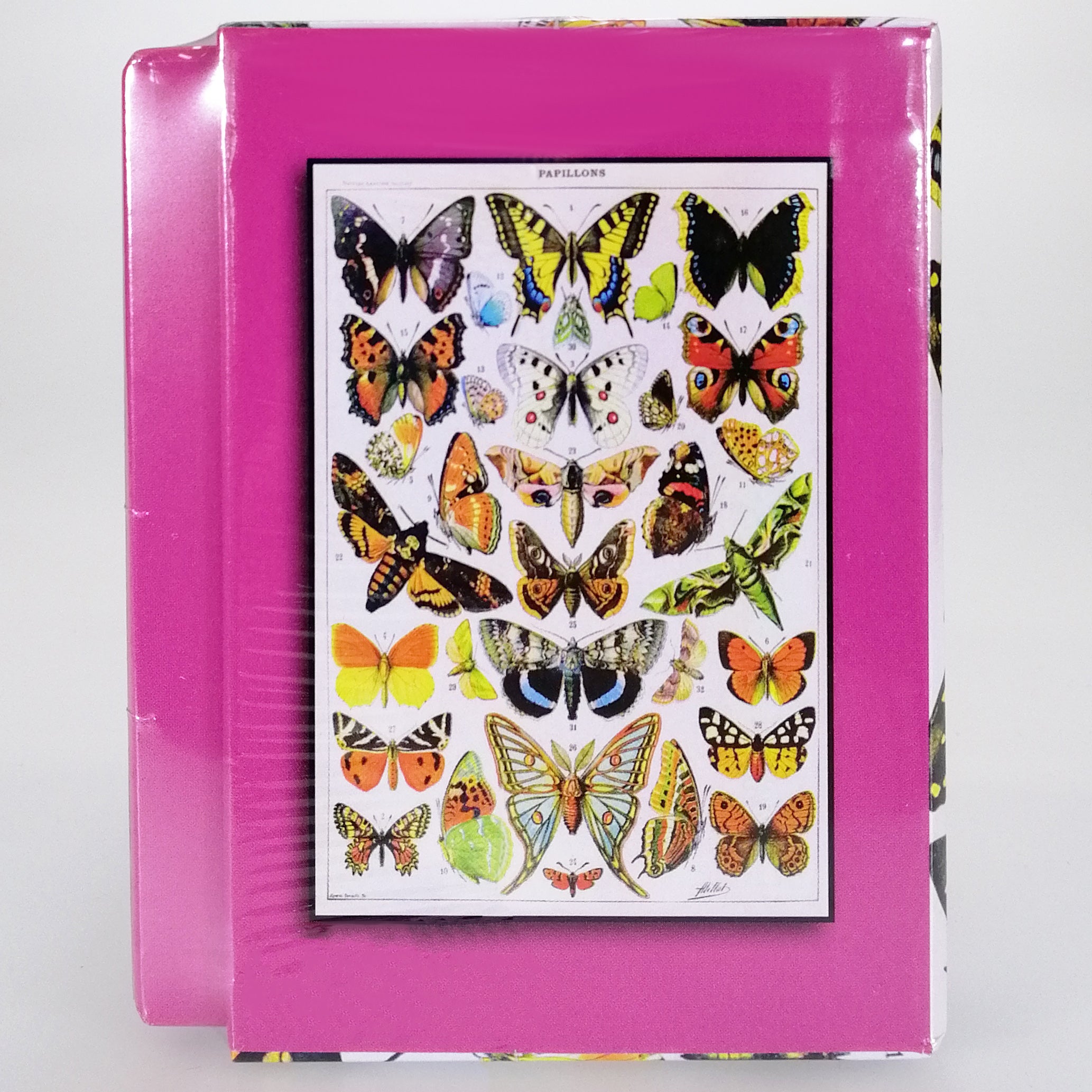 Jigsaw Puzzle - Butterflies