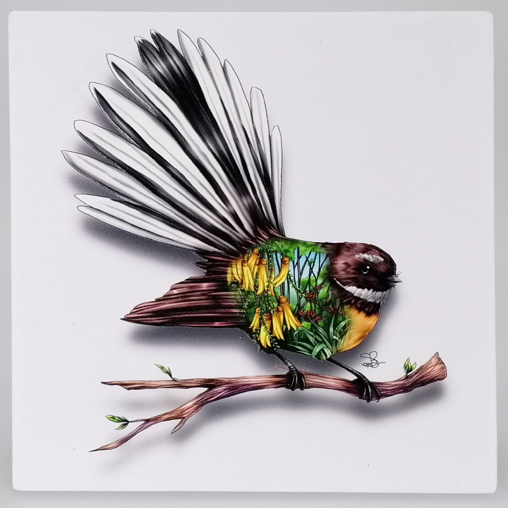 Sophie Blokker - Fantail on White Ceramic Tile Hanging