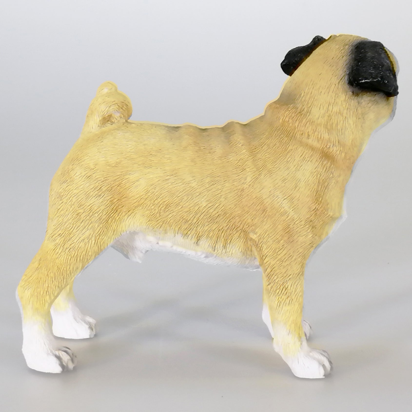 Leonardo Collection - Pug Dog Figurine