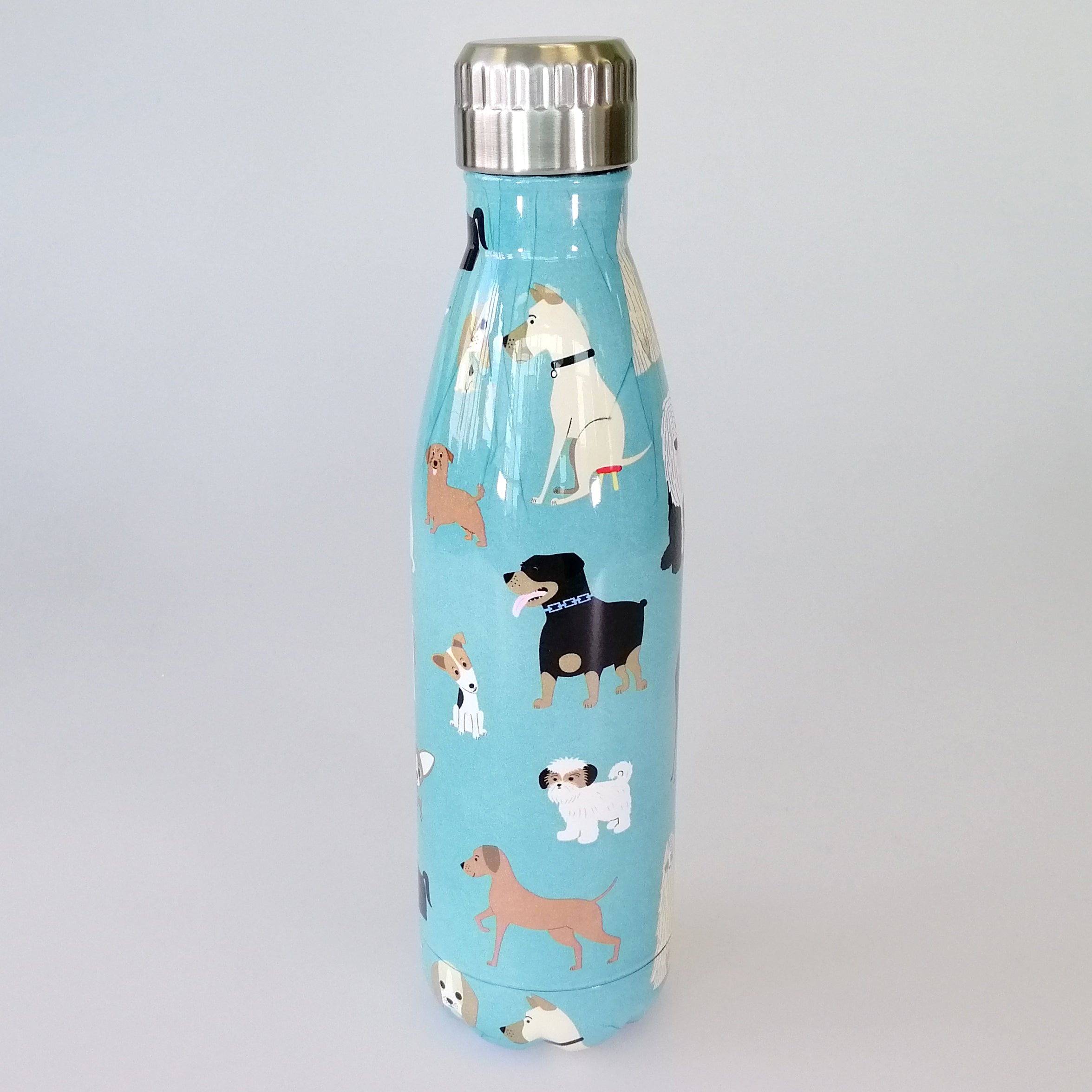 Best In Show Stainless Steel Bottle - 500ml