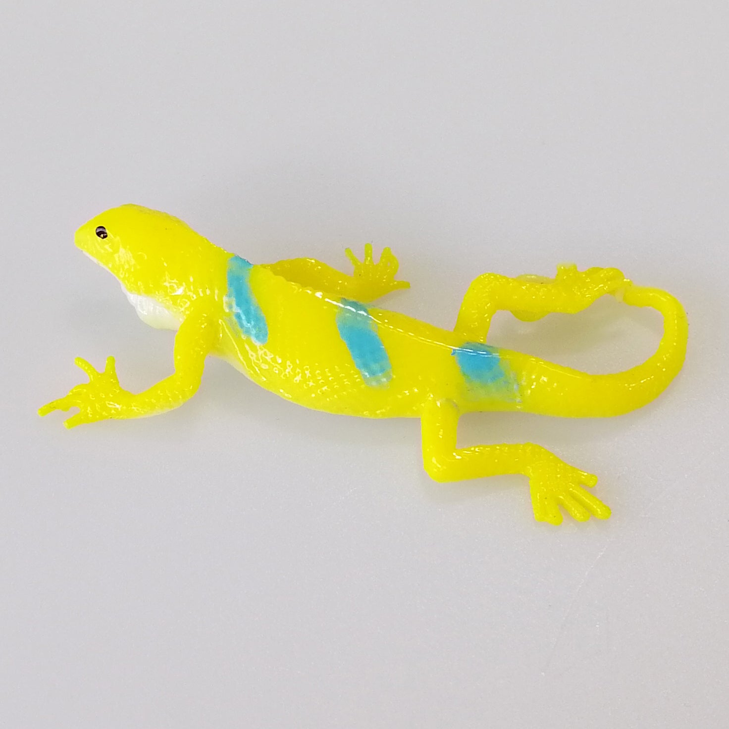 Rex Super Stretchy Gecko - Assorted