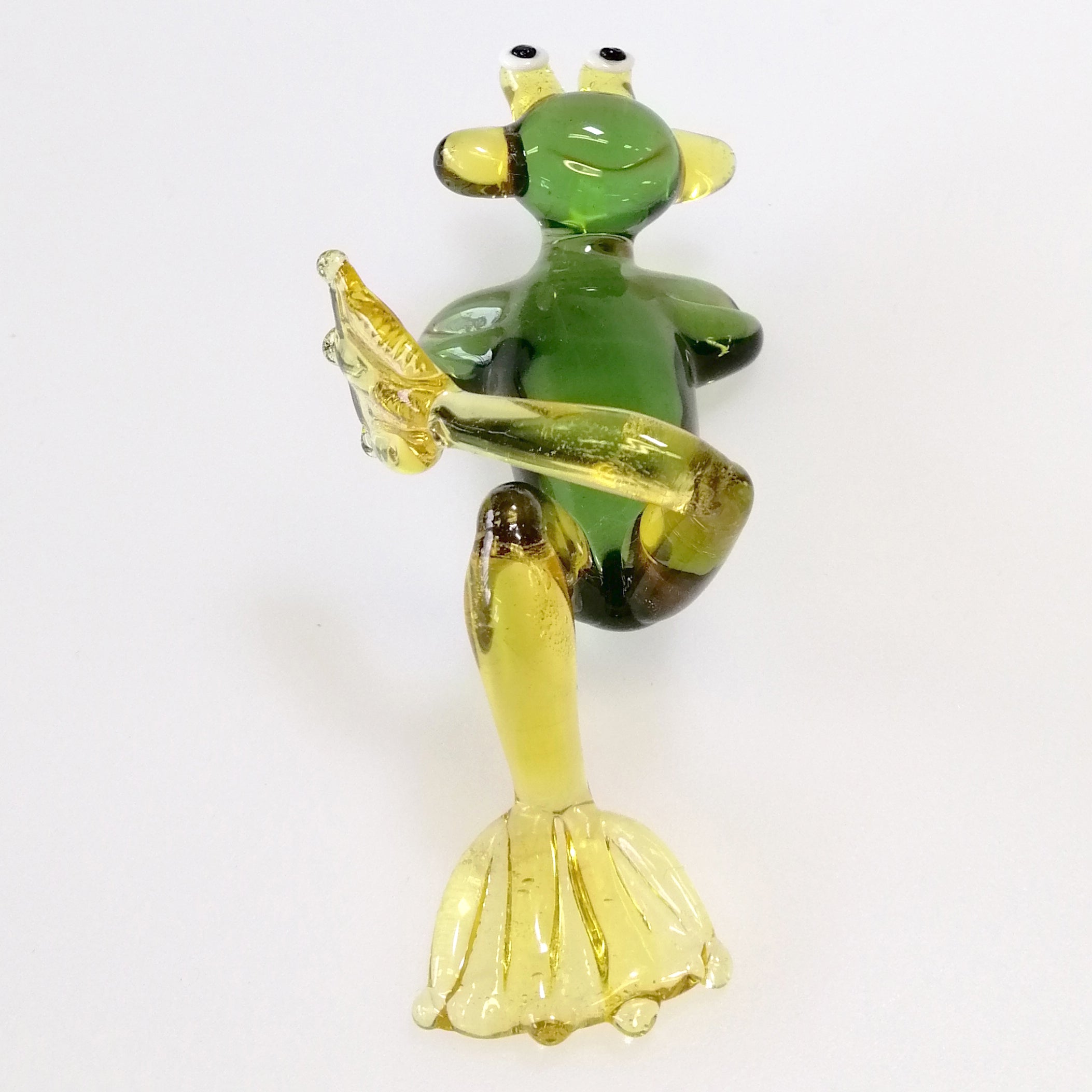 Resting Glass Frog
