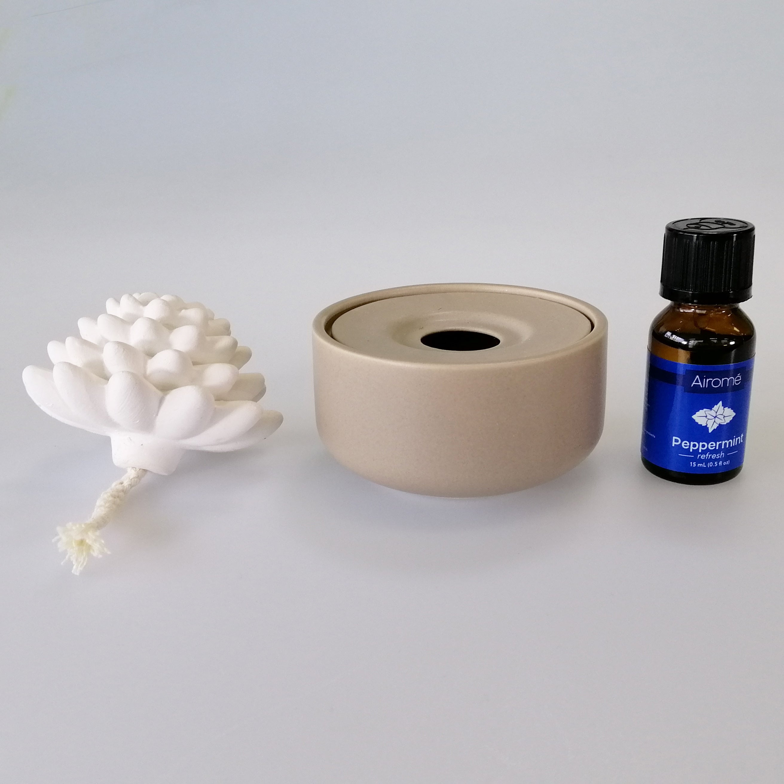 Porcelain Essential Oil Diffuser  - Succulent