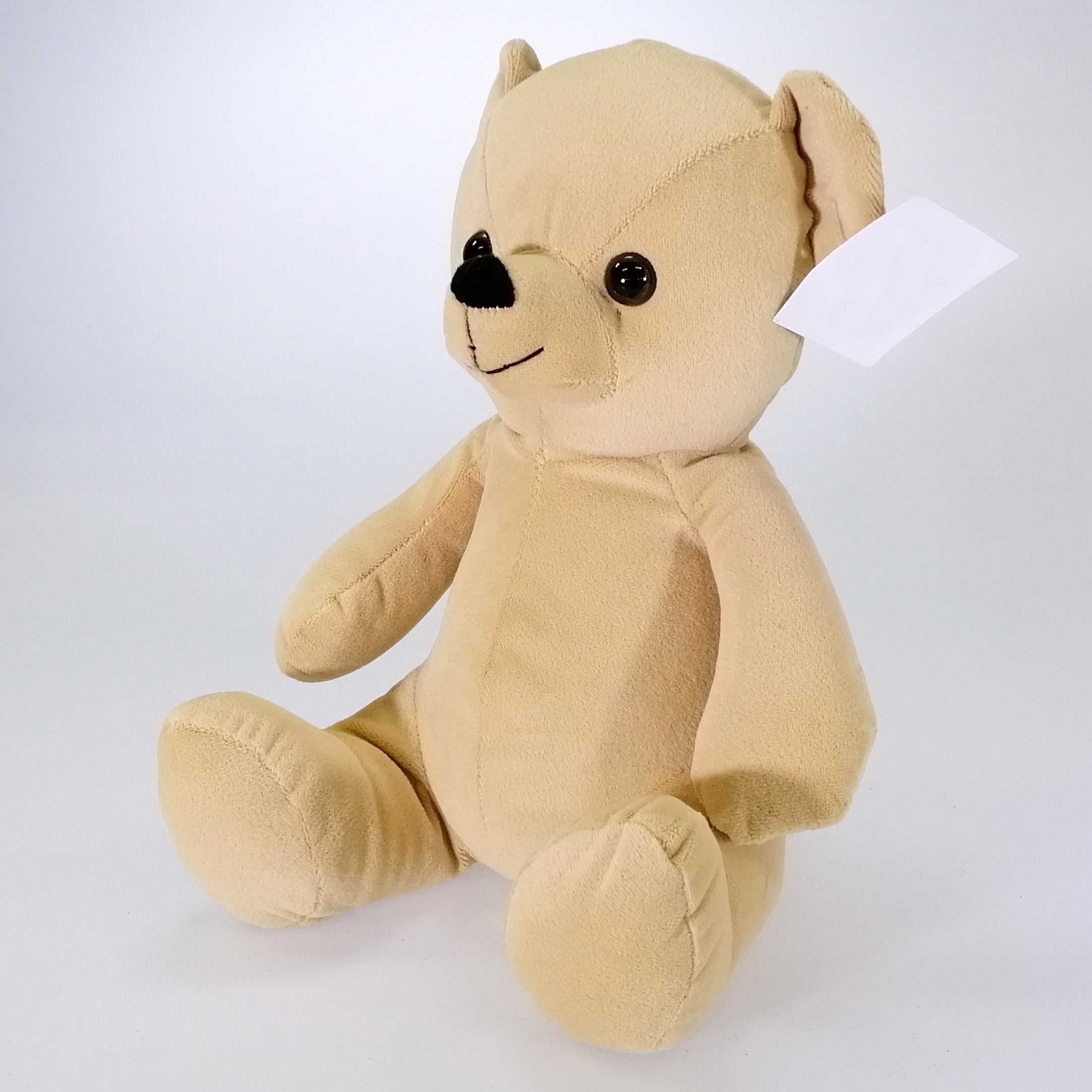 Teddy the Bear Doorstop